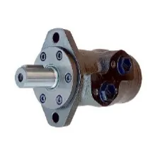 Мотор героторный BMRY-50P41AIIY10 / Т60