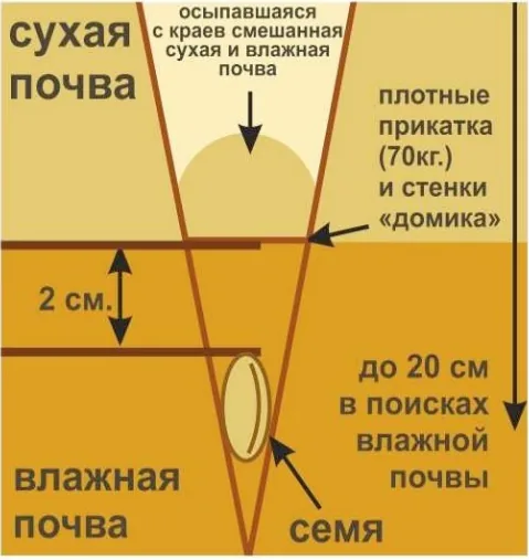 Анкерный посевной комплекс Муза